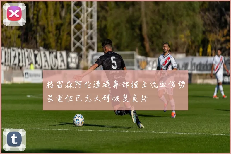 格雷森阿伦遭遇鼻部撞击流血伤势虽重但已无大碍恢复良好