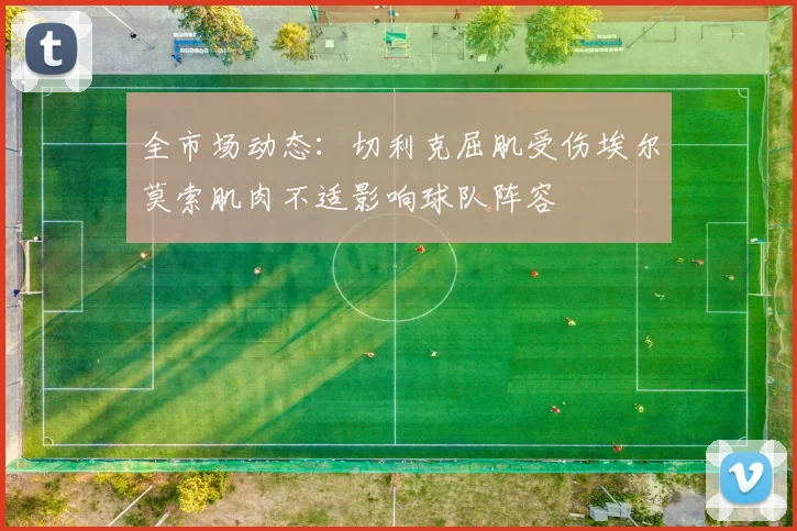 全市场动态：切利克屈肌受伤埃尔莫索肌肉不适影响球队阵容